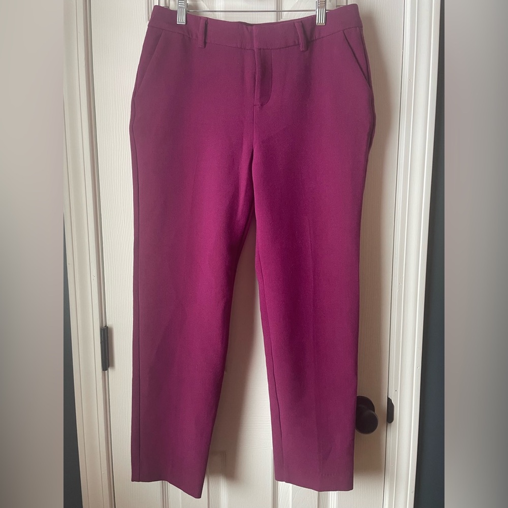 Vibrant Magenta Pants